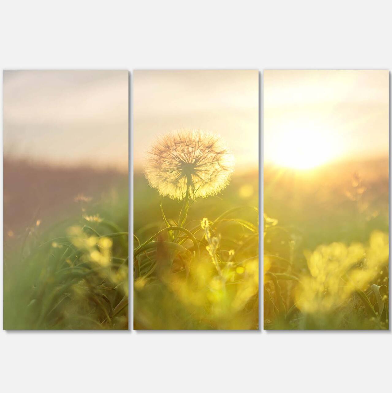 Designart - Dandelion Blooming Flower in Field - Floral Canvas Art Print